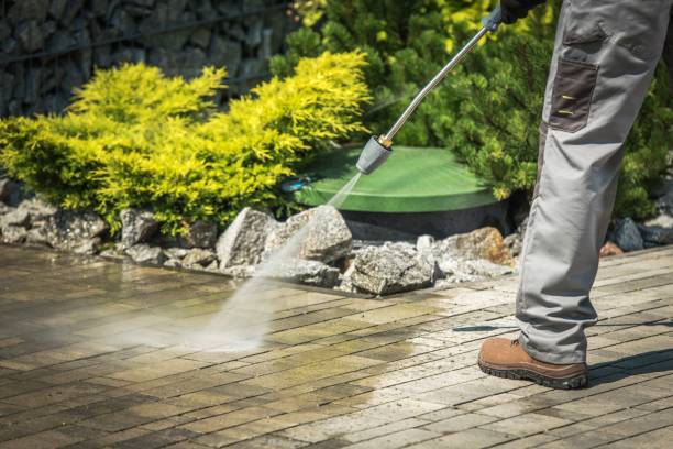Best Animal Enclosure Cleaning  in Visalia, CA