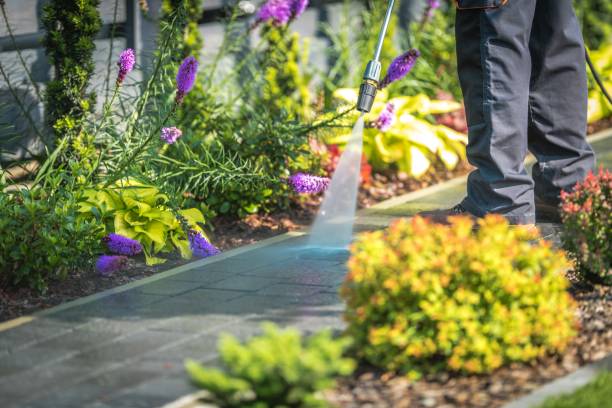 Best Restaurant Pressure Washing  in Visalia, CA